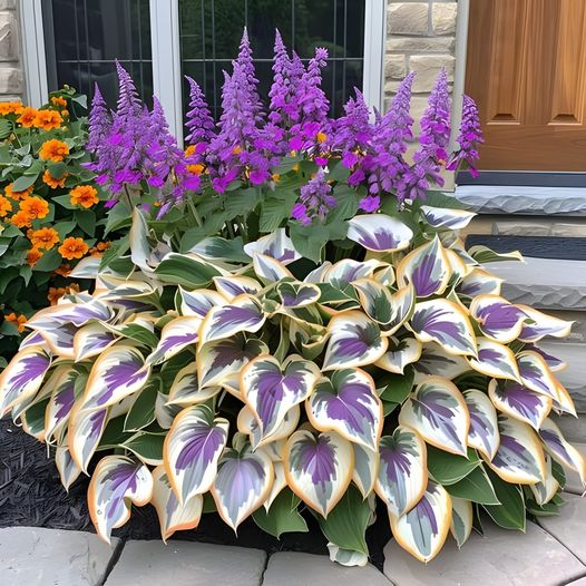 🌿 Die widerstandsfähige Schönheit: Schattenverträgliche und kälteresistente Hosta-Blüten 🌿