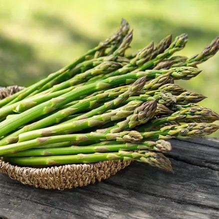 ASPARAGUS MARY WASHINGTON VEGETABLE SEEDS-FOUR SEASONS
