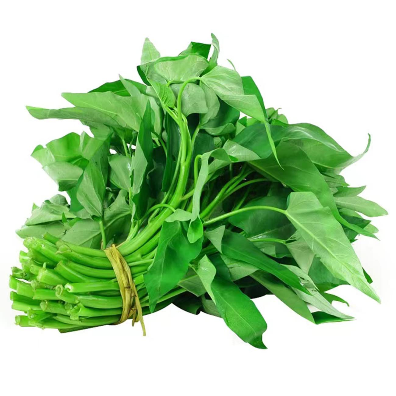 TRIPLE-STEM WATER SPINACH, KANGKONG, ONG CHOY SEEDS