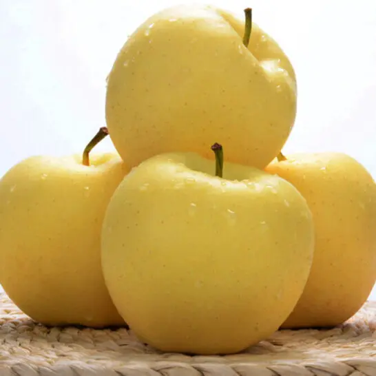 Goldene Apfelsamen