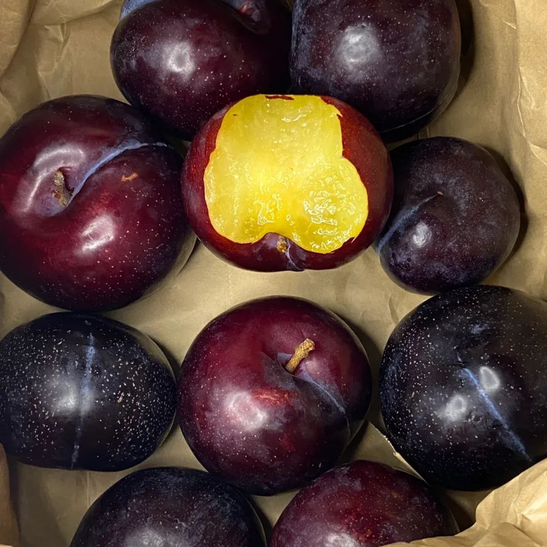 Black Plum Seeds