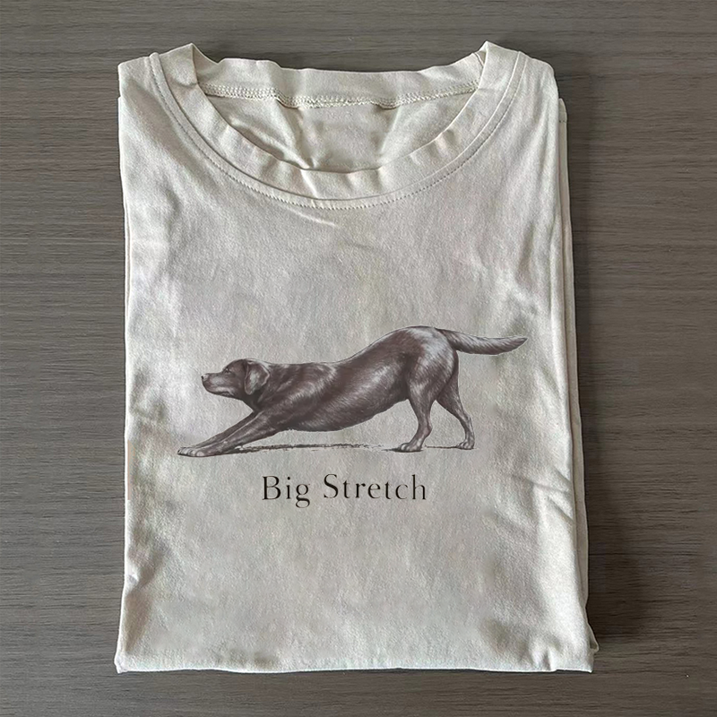 Big Stretch Chocolate Labrador Retriever T-shirt