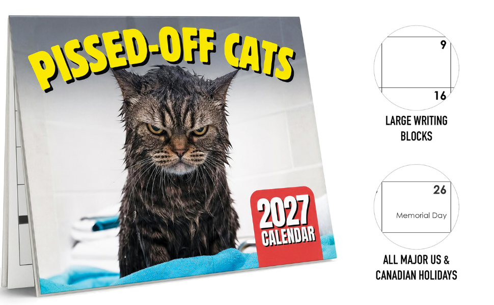 2027 cats calendar cat angry grumpy gifts yoga wall funny space star wars kittens lovers