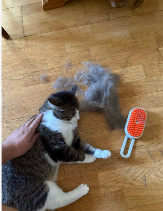 Customer pet photo 10