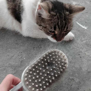 Customer pet photo 9