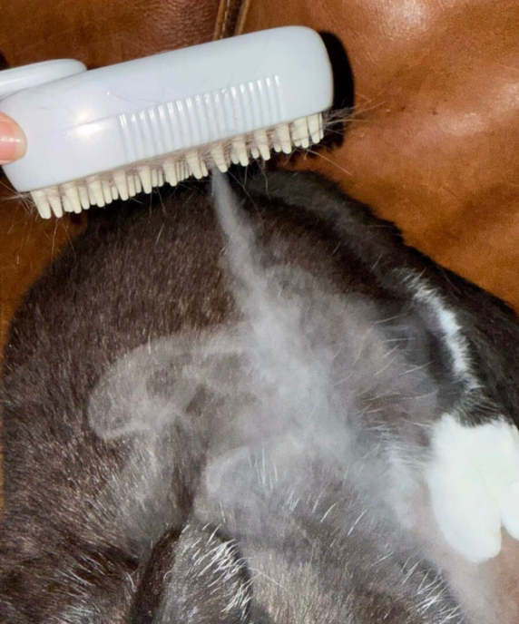 Customer pet photo 8