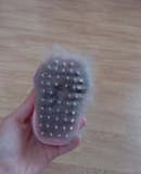 Customer pet photo 7