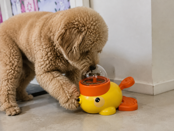 Dog enjoying kibble with the interactive feeder