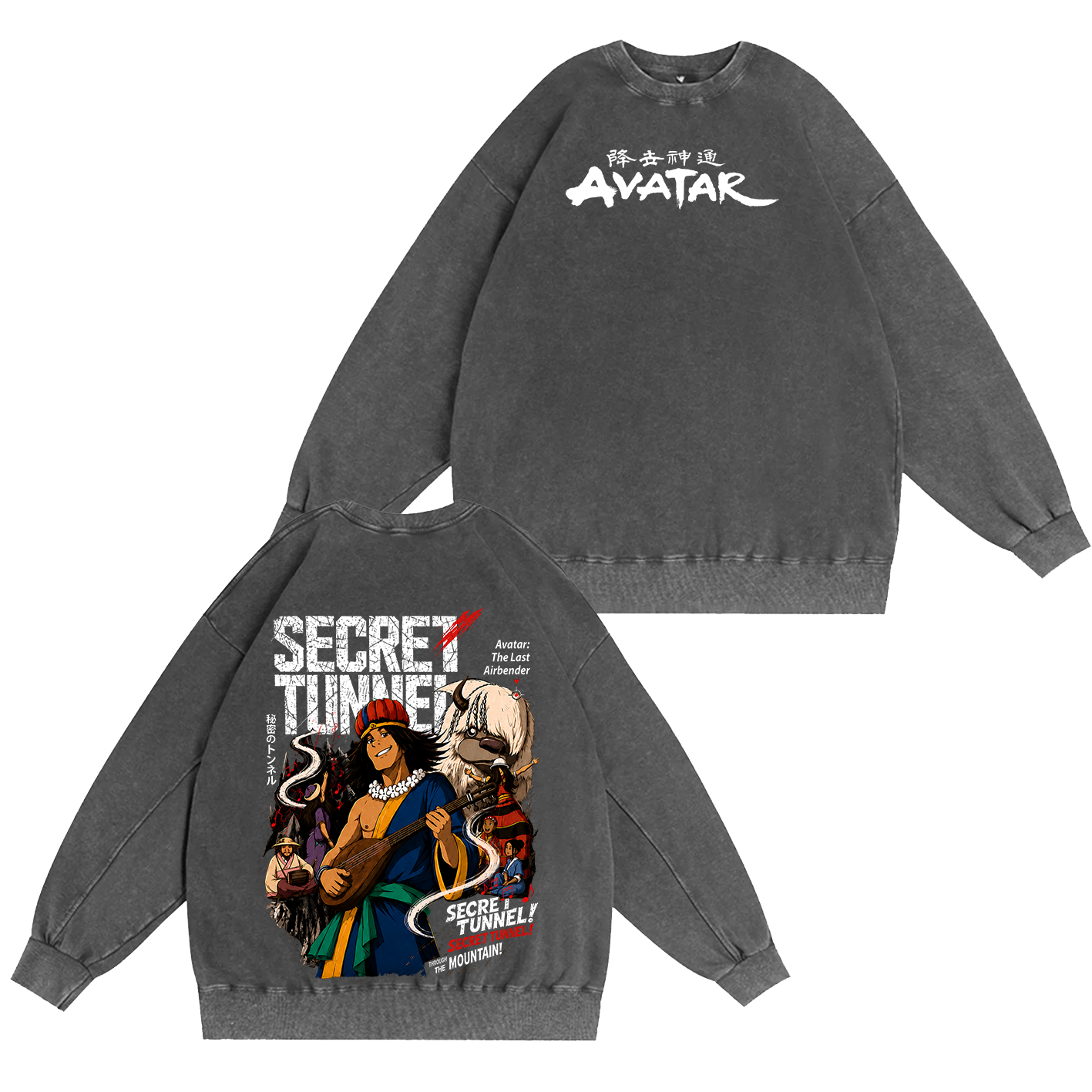 Avatar Washed T-shirt/Crewneck/Hoodie