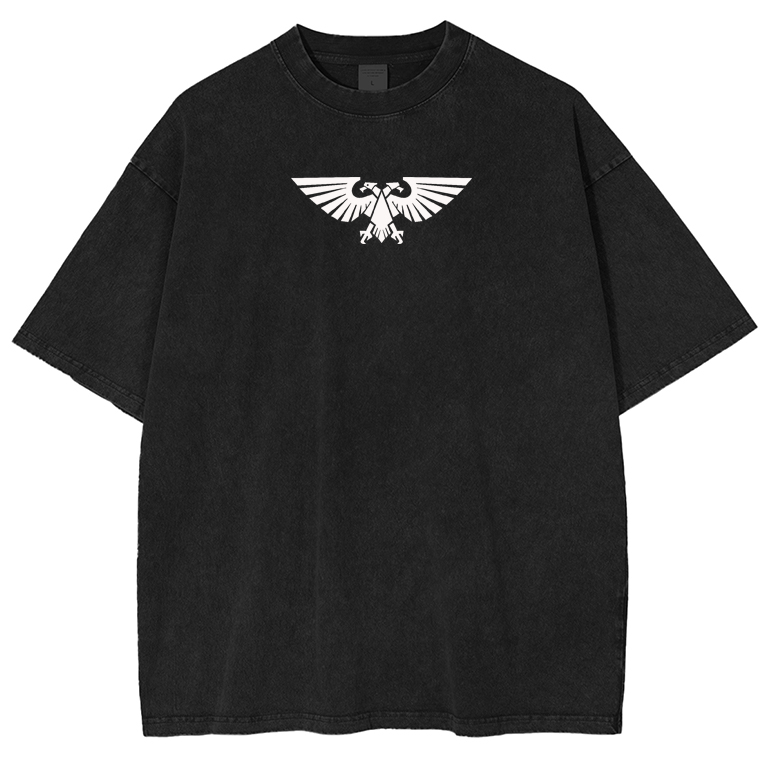 Ave Dominus Nox T-Shirt
