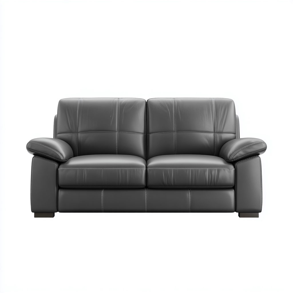 Sofá lineal cuero 168x94x92 cm - negro - para salón - diseño moderno-Miviahanest