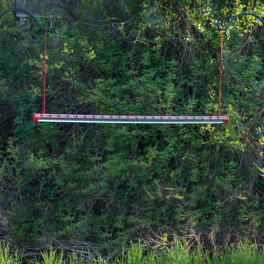 Hummingbird Feeder - Buy 2 Give Free Cleaning Brush and Hook