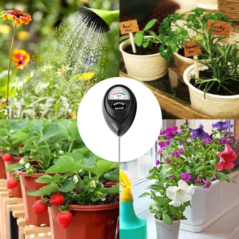 Perfect for All Plants