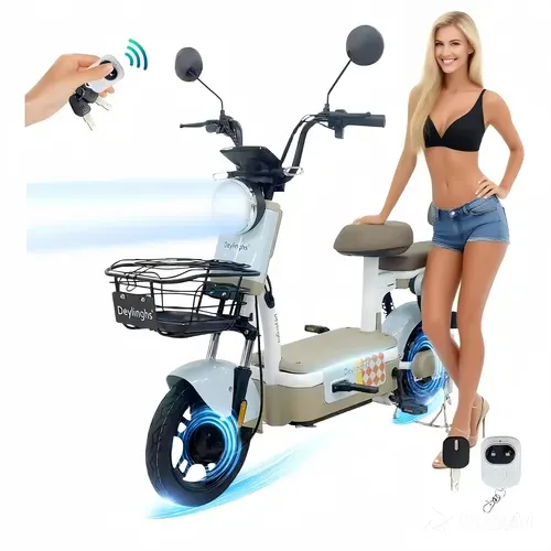 Deylinghs® Bicicleta Eléctrica Para Adultos 500w 30km/h Led