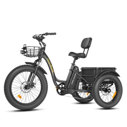 [750W] Triciclo eléctrico de tracción trasera MF-30 Ver 2024