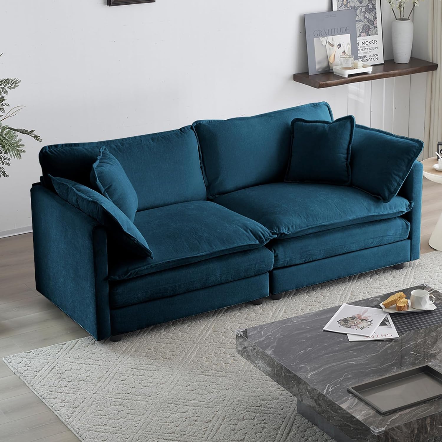 Neylory - Sofá de dos plazas con 2 almohadas para sala de estar, recámara, departamento, 2 plazas de felpilla para asiento profundo