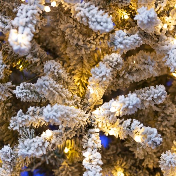 ÁRBOL NAVIDEÑO FRASER 2.28 M