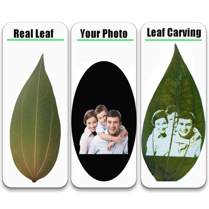 Customized Leaf Carving Photos with Frames Decor Father's Day Gift FHC51099