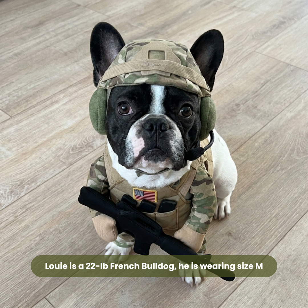 🎃 Funny Halloween Tactical Soldier Pet Costume – Standing K9 Military Uniform with Helmet & Rifle