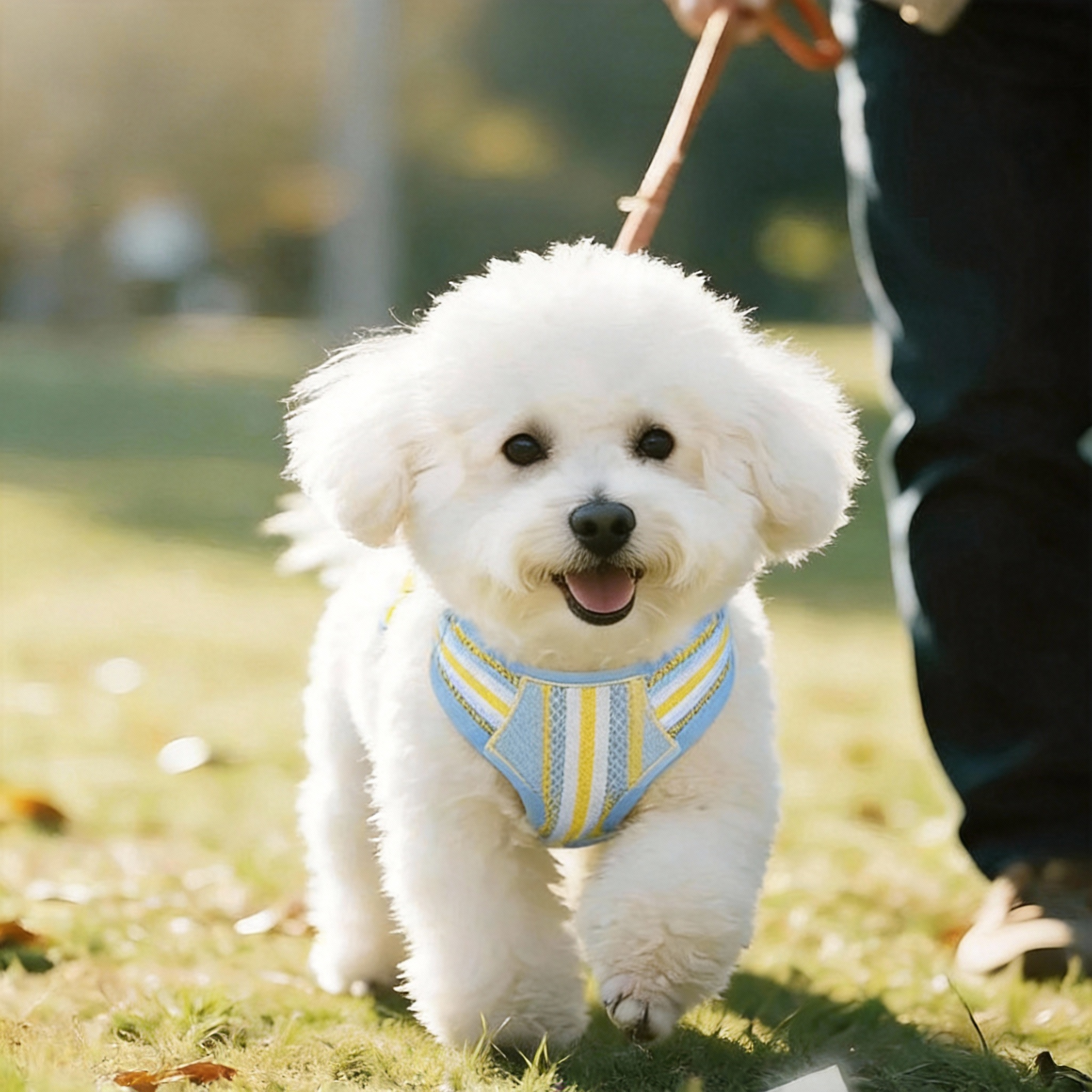 "Little Monster" 3D Plush Dog Harness and Leash Set | Breathable Mesh Vest for Small and Medium Dogs
