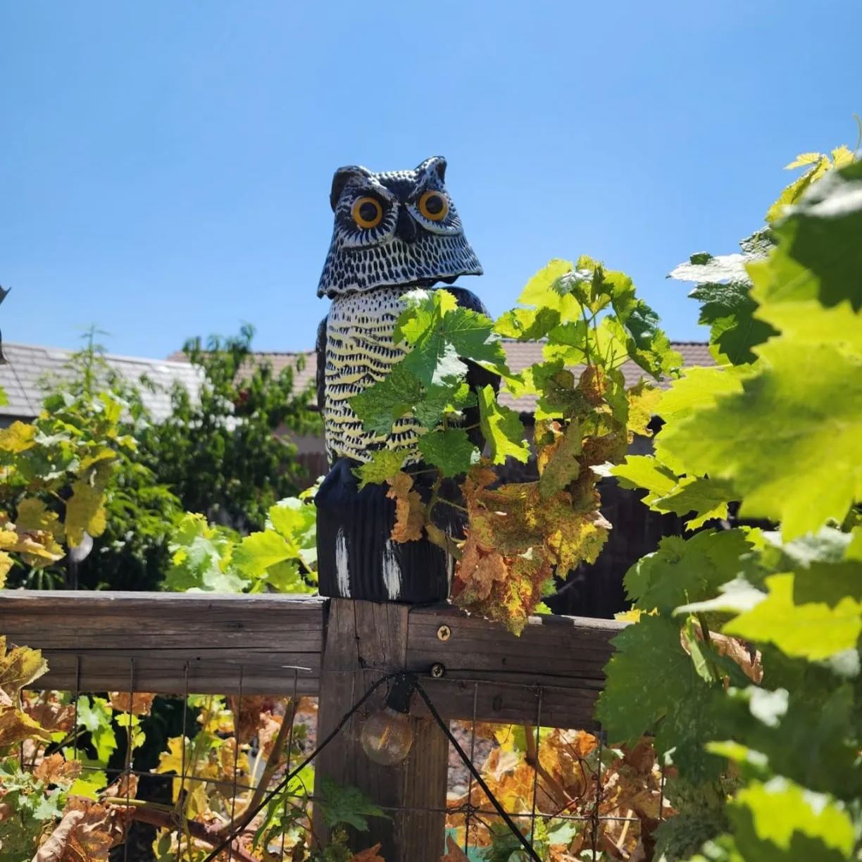 Owl Garden Decoration|Owl Decoys to Scare Birds Squirrels Away