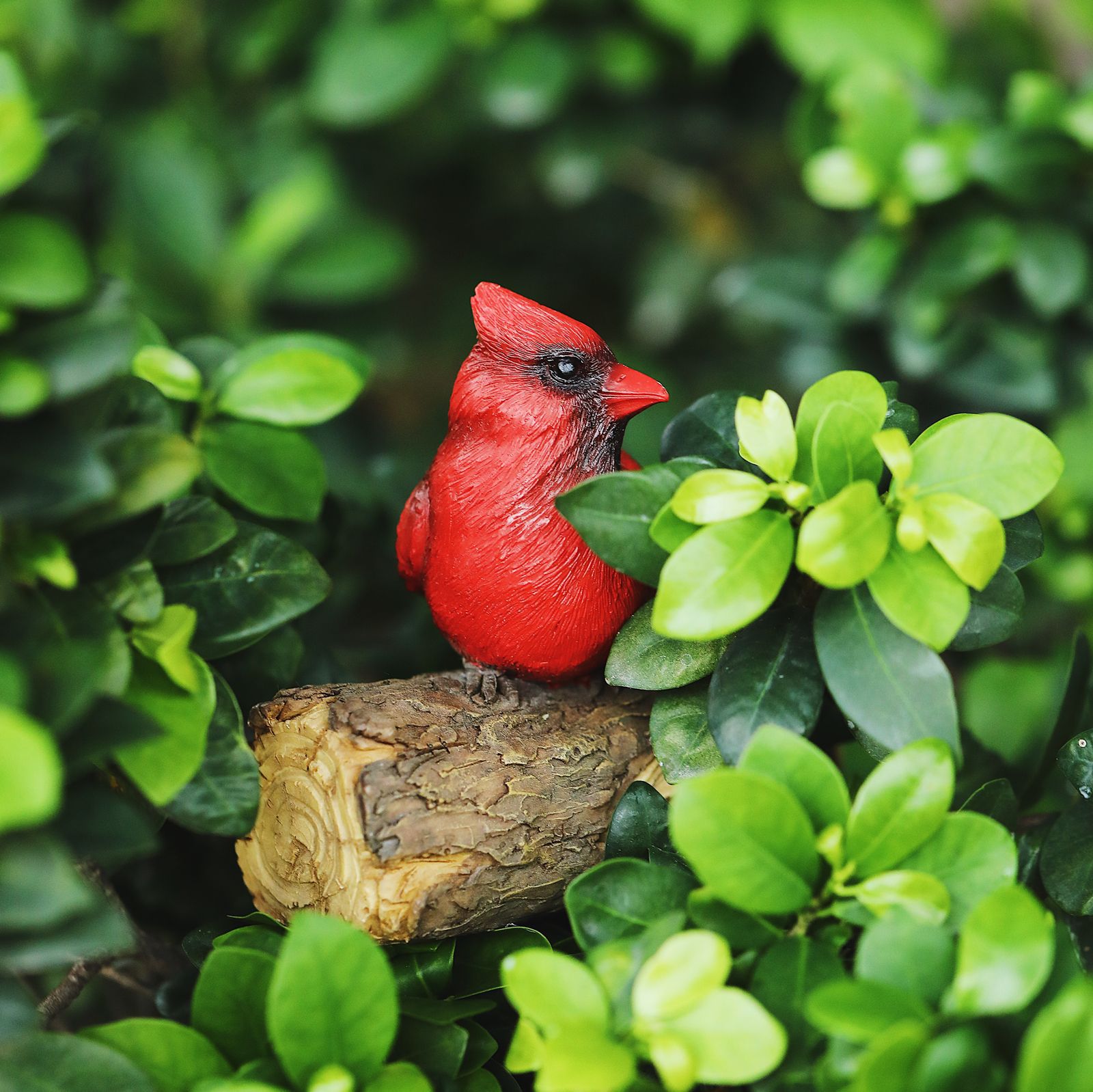 Cardinal Resin Statue | Tree Hugger | Hand Painted Art