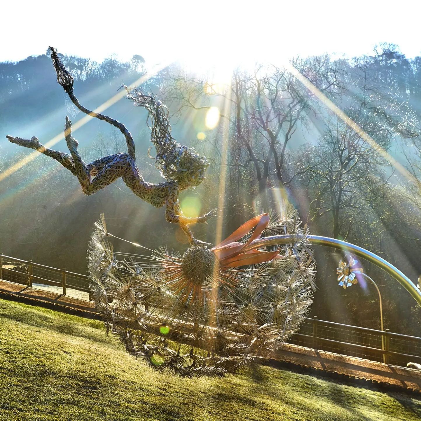 🧚‍♀Wonderland-like garden decoration🧚‍♀