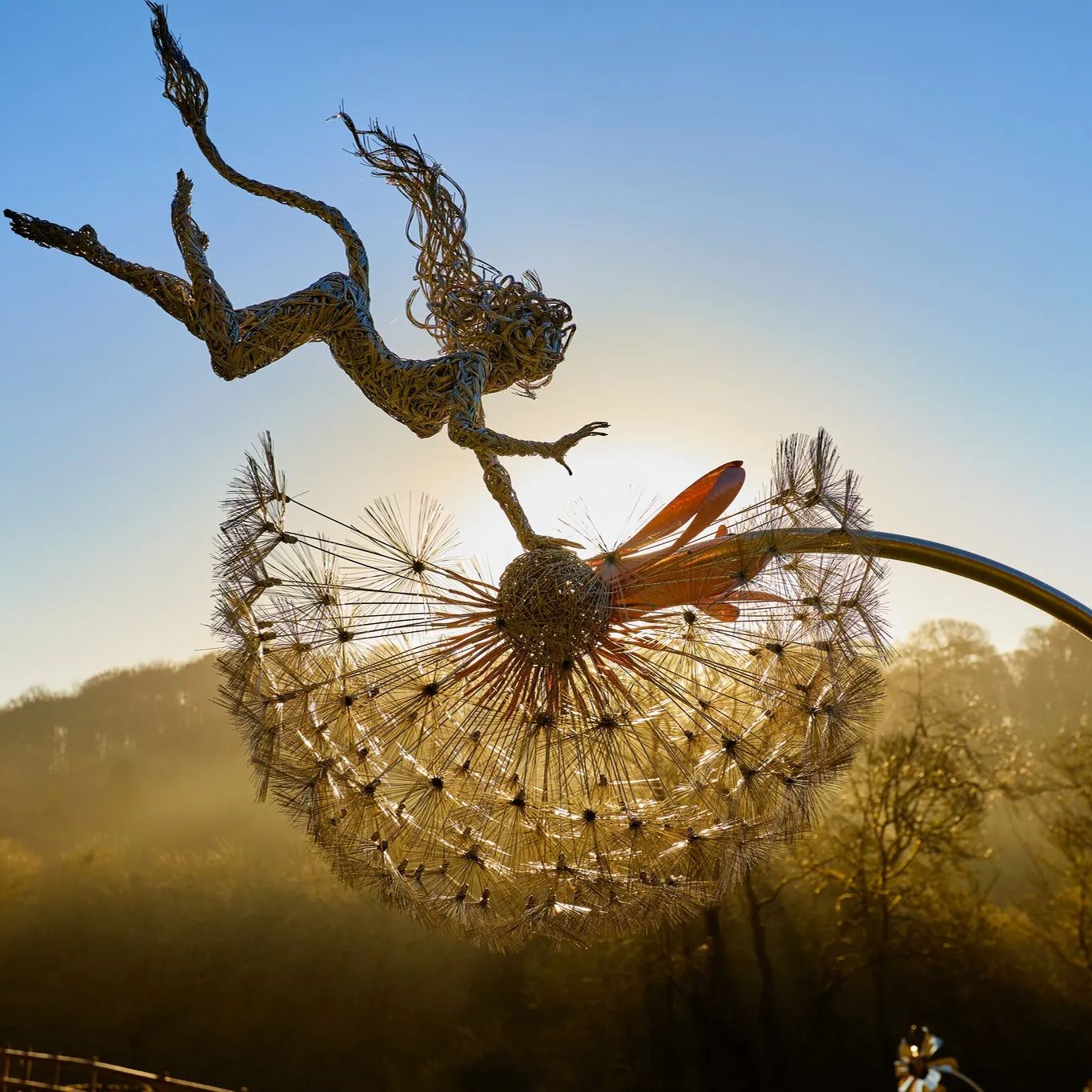 🧚‍♀Wonderland-like garden decoration🧚‍♀