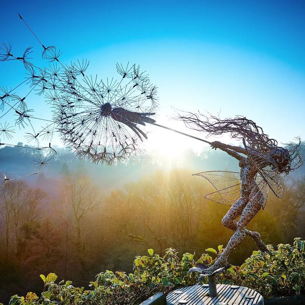 🧚‍♀Wonderland-like garden decoration🧚‍♀