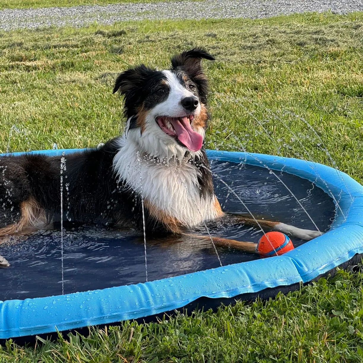 Non-slip Splash Pad for Kids and Dogs, Thickened Splash Pool Summer Outdoor Water Toys（Summer Flash Sale）