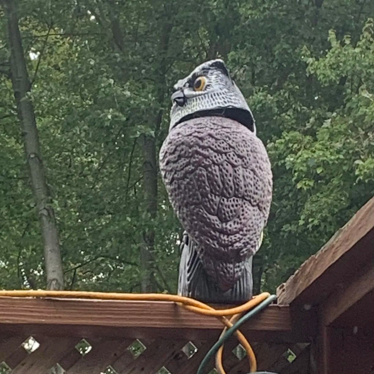 Owl Garden Decoration|Owl Decoys to Scare Birds Squirrels Away