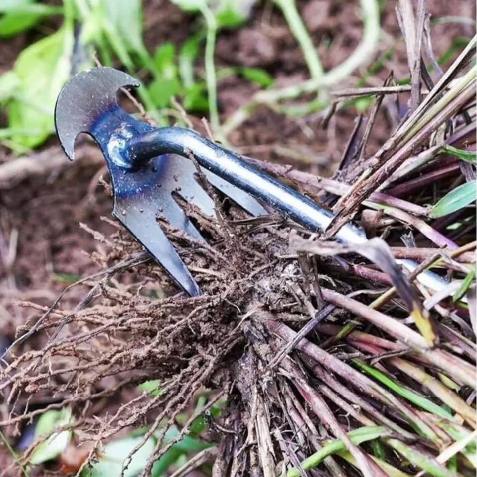 50% OFF | WeedMaster-Sturdy Manganese Steel Hand Weeder