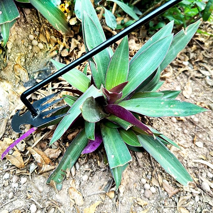50% OFF | WeedMaster-Sturdy Manganese Steel Hand Weeder