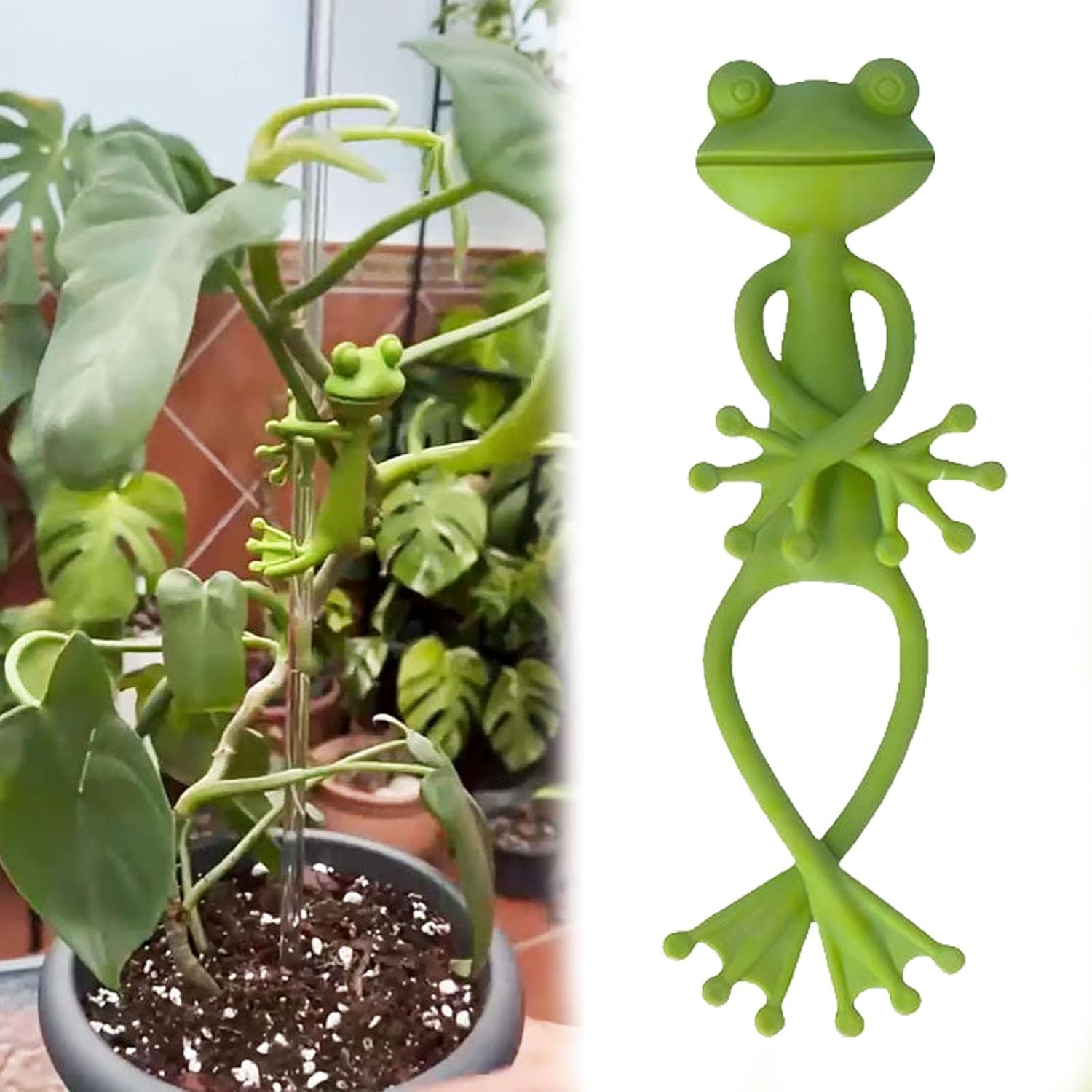 🔥Frog Plant Stand