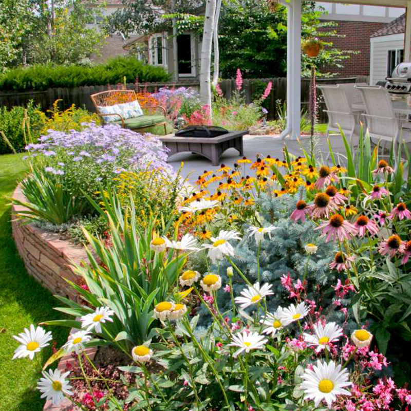 Mixed Perennial Flowers Seeds - 60+ Kinds Mixed
