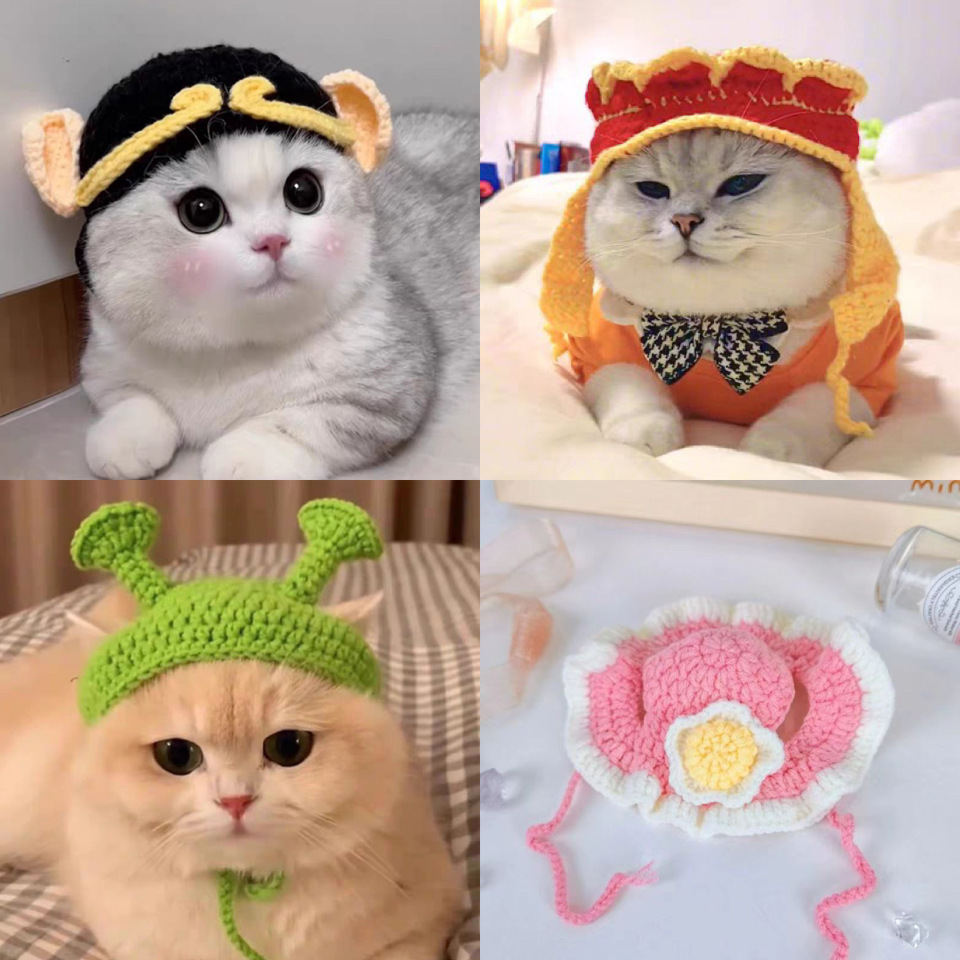 Hand-crocheted pet hats - Cute knitted hats for cats and dogs