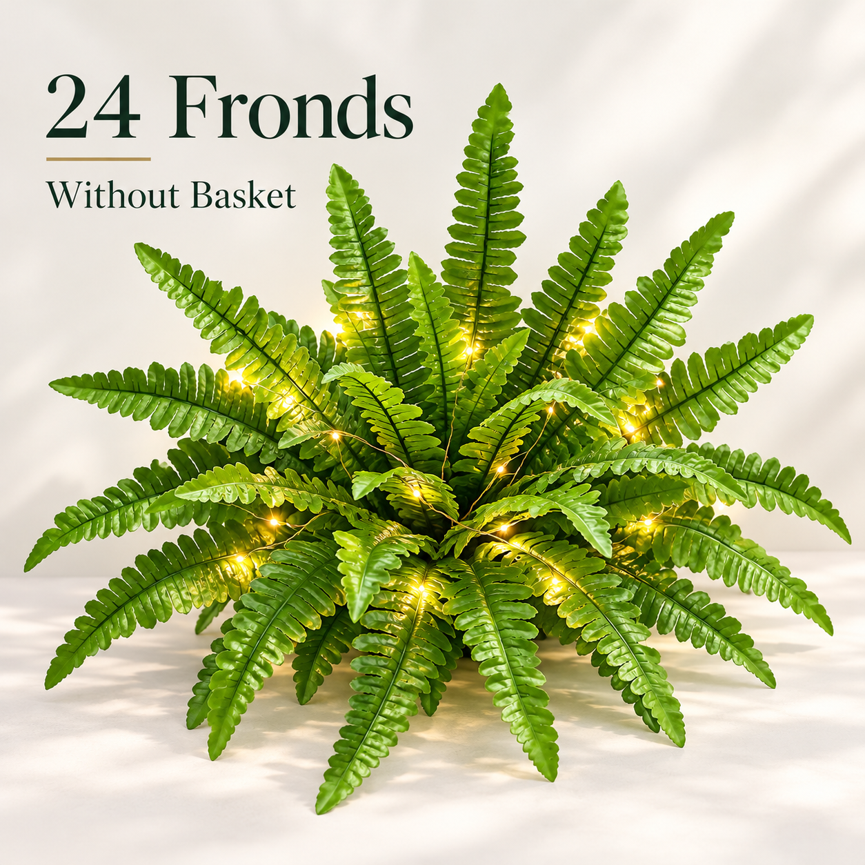 💛Glowing Boston Ferns with Lights – 🌿 Zero Watering, Zero Maintenance