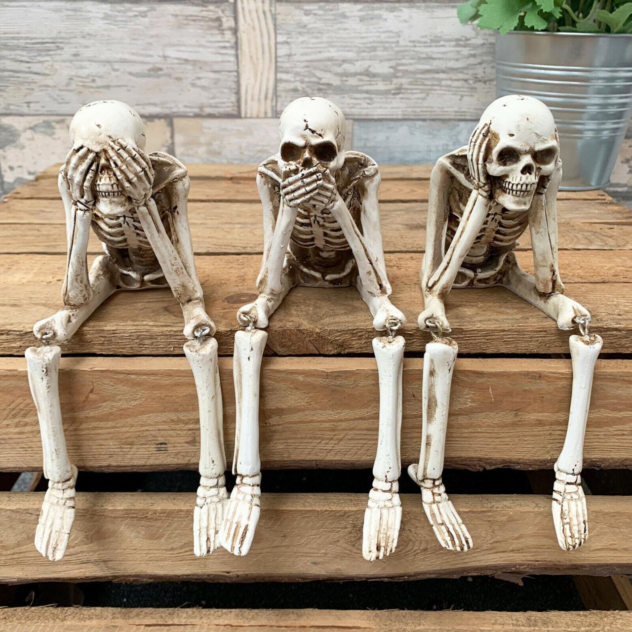 💀Skeleton Decoration Creative Skull Ornament