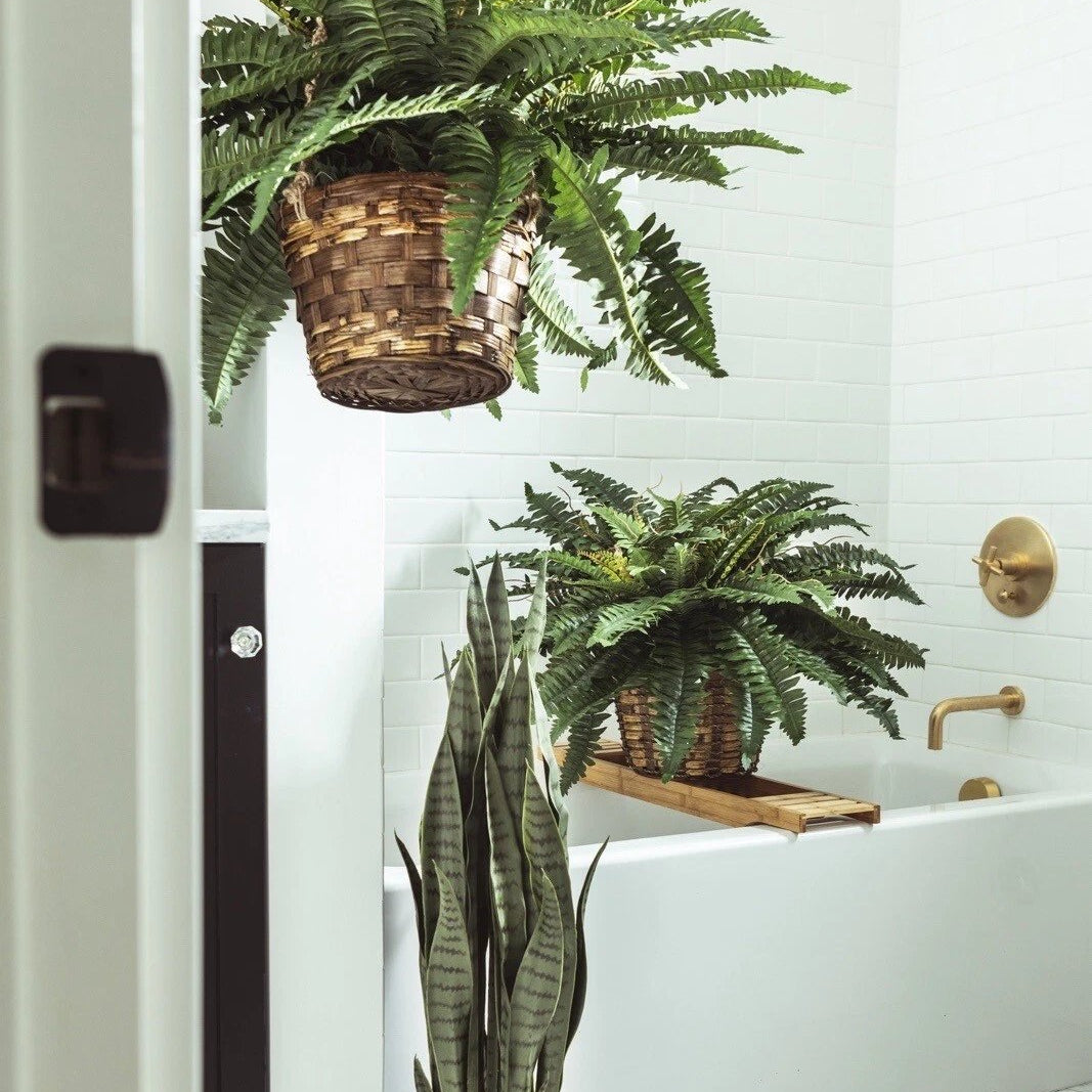 🌿🏡Artificial Hanging Fern Plant – Effortless Greenery for Home & Garden
