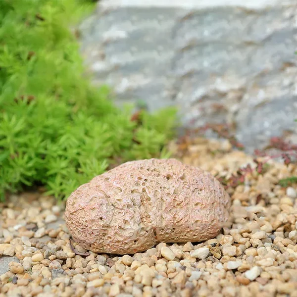 Outdoor Key Hidden Security Rock Stone Case Box
