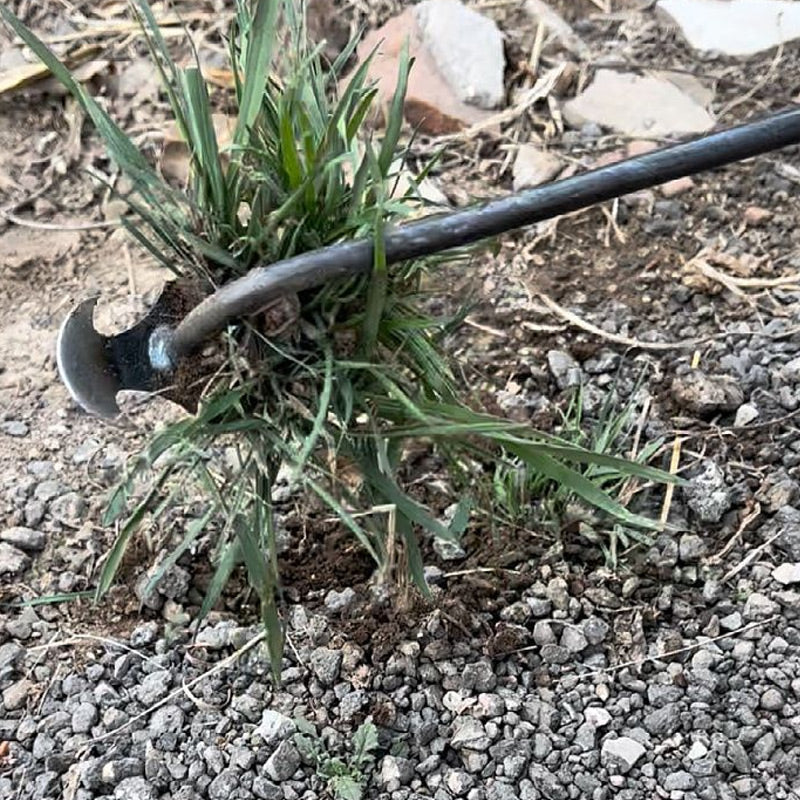 50% OFF | WeedMaster-Sturdy Manganese Steel Hand Weeder