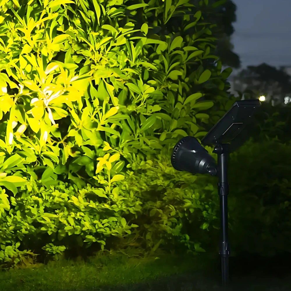 🔥Solar Powered Garden Spotlight