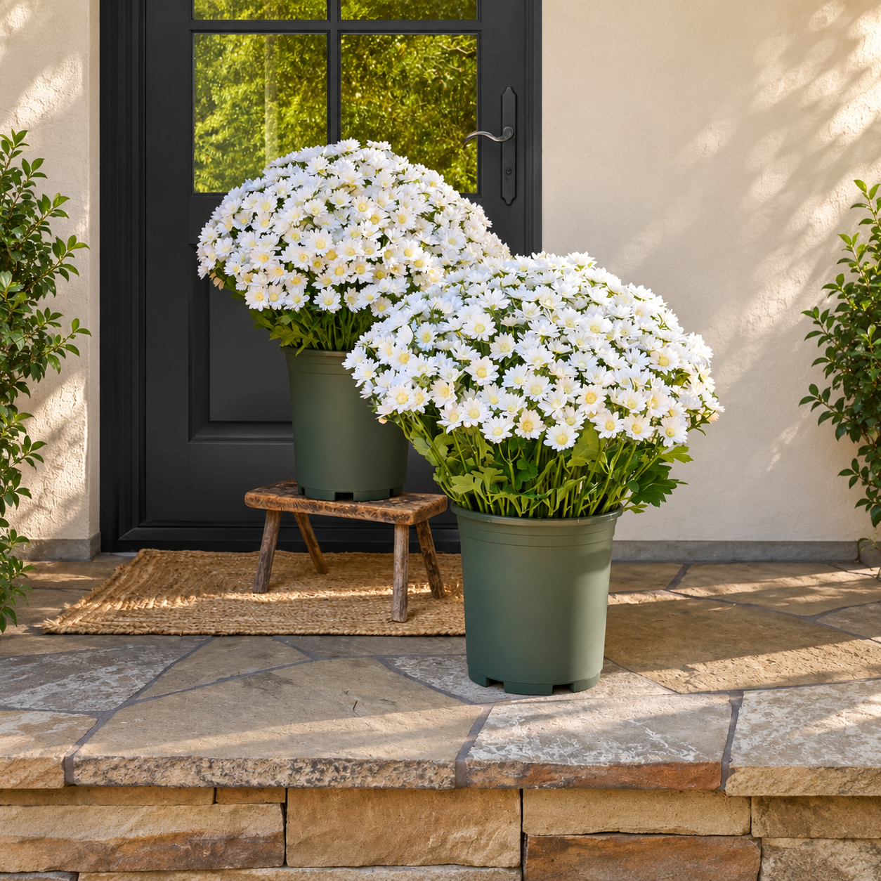 💥Artificial Outdoor Sunset Mums Flowers - UVresistant, Waterproof, Windproof🌼