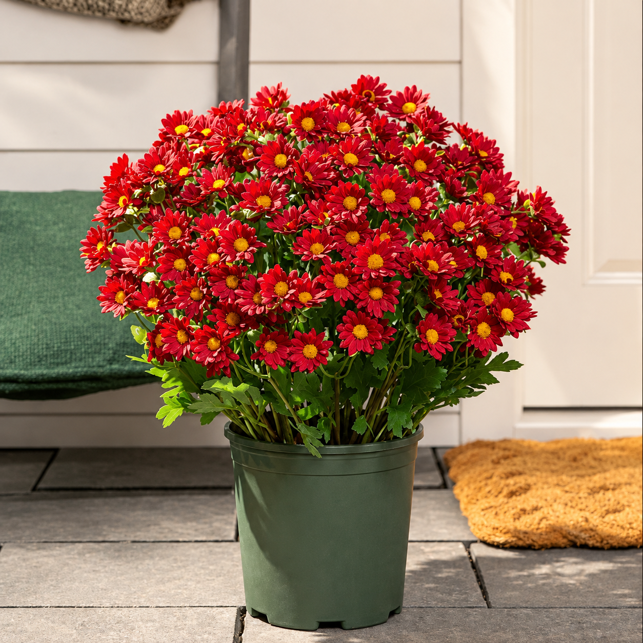 💥Artificial Outdoor Sunset Mums Flowers - UVresistant, Waterproof, Windproof🌼