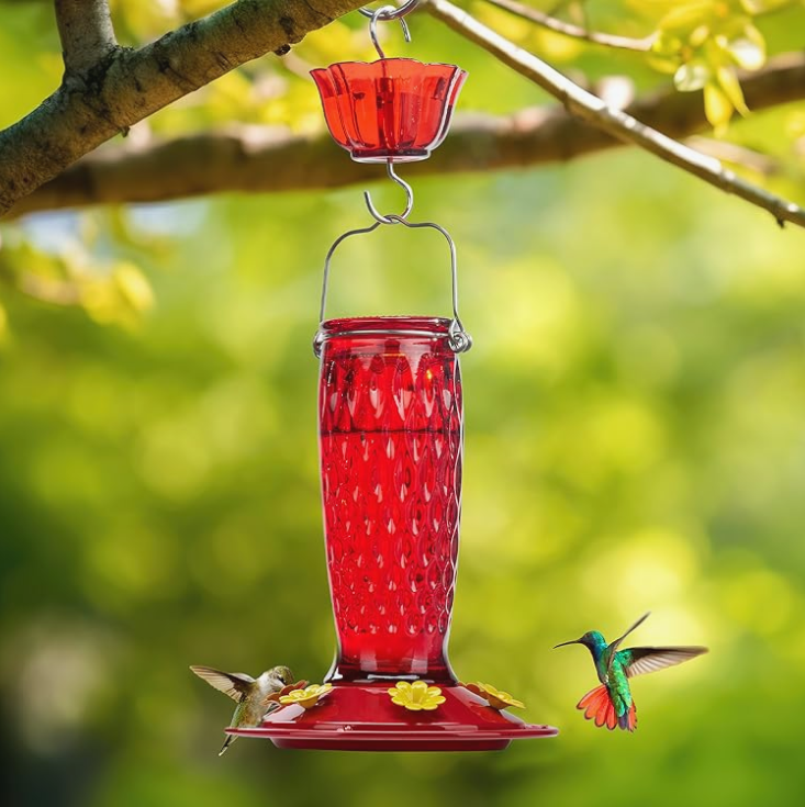 ✨ Ruby Nectar Haven: The Ultimate Hummingbird Feeder Experience ✨