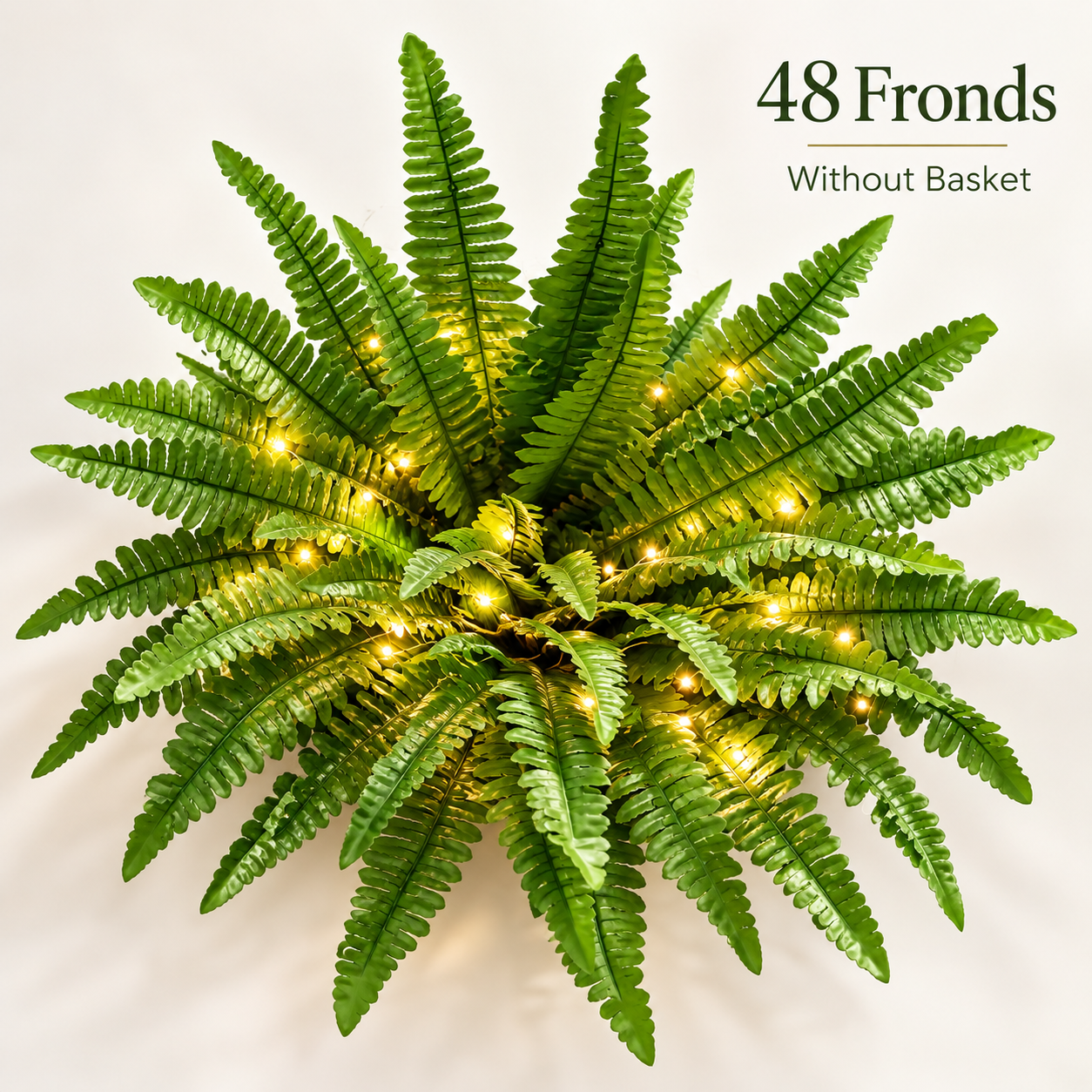 💛Glowing Boston Ferns with Lights – 🌿 Zero Watering, Zero Maintenance