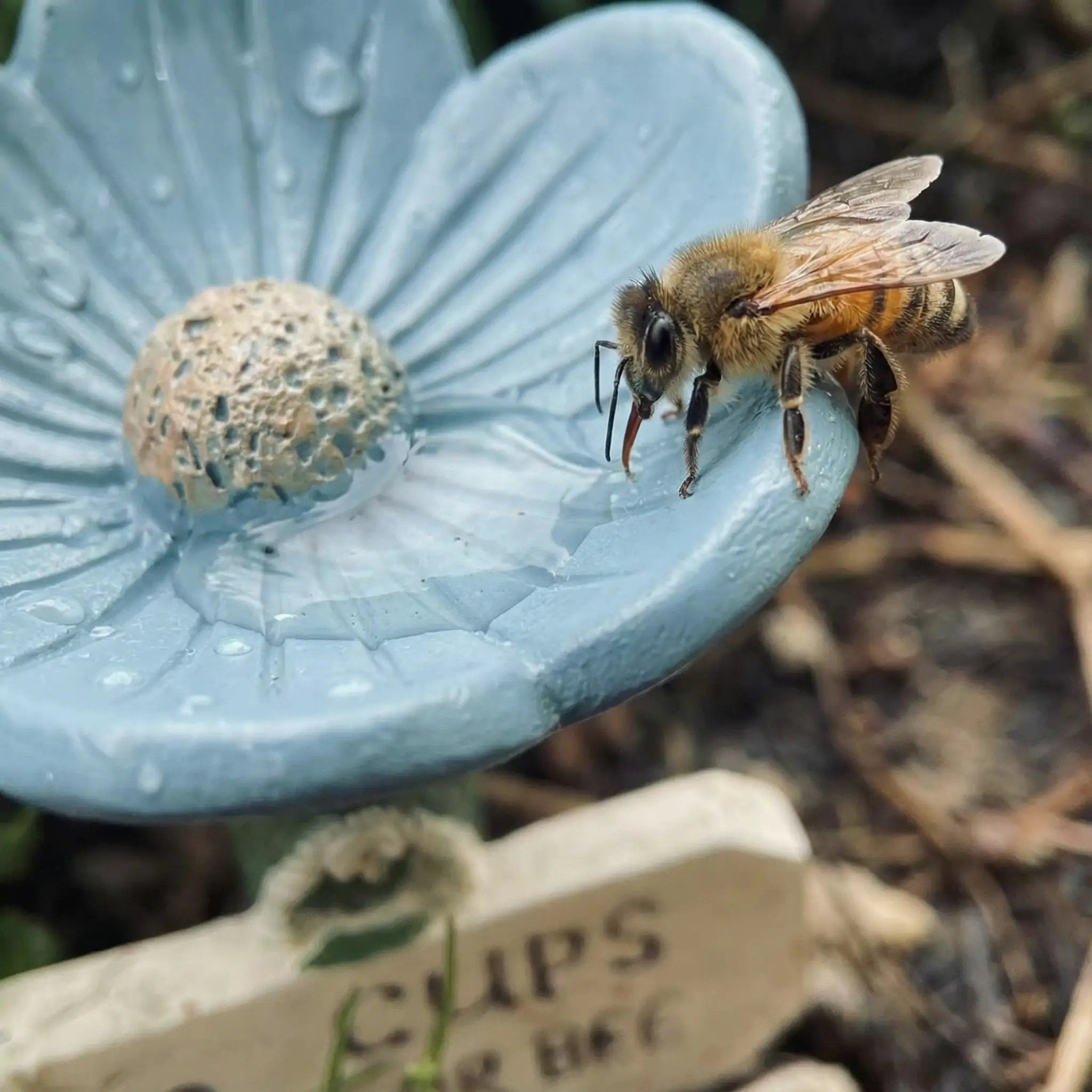 ⏳Last Day - Up To 70% OFF🐝Flower-Shaped Bee Watering Station💧