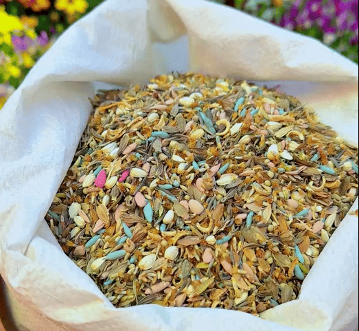 Mixed Perennial Flowers Seeds - 60+ Kinds Mixed