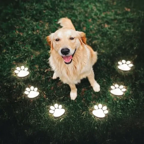 Get 49% OFF🌟 Solar Paw Print Garden Lights – Waterproof LED Outdoor Pathway Lamps (4 Packs)