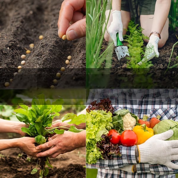 Last Day 59% OFF-Vegetable Seed Vault Kit | 35 Variety Pack